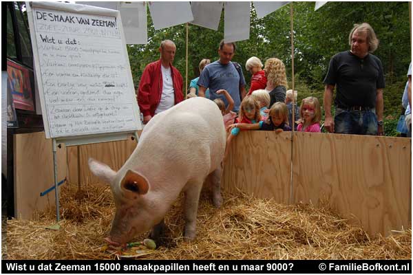 varken ZEEMAN op de Pure Markt Amsterdam - Week van de Smaak 2009