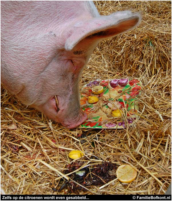 varken ZEEMAN op de Pure Markt Amsterdam - Week van de Smaak 2009