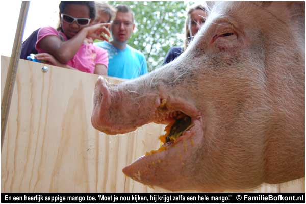 varken ZEEMAN op de Pure Markt Amsterdam - Week van de Smaak 2009