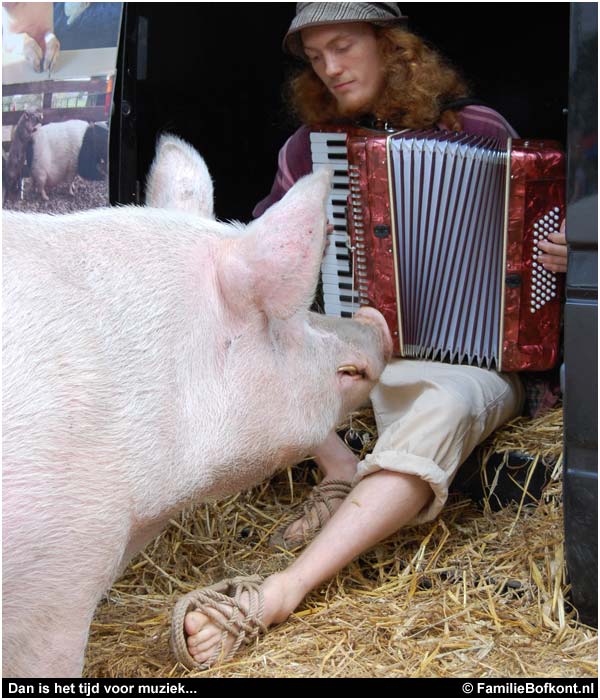 varken ZEEMAN op de Pure Markt Amsterdam - Week van de Smaak 2009