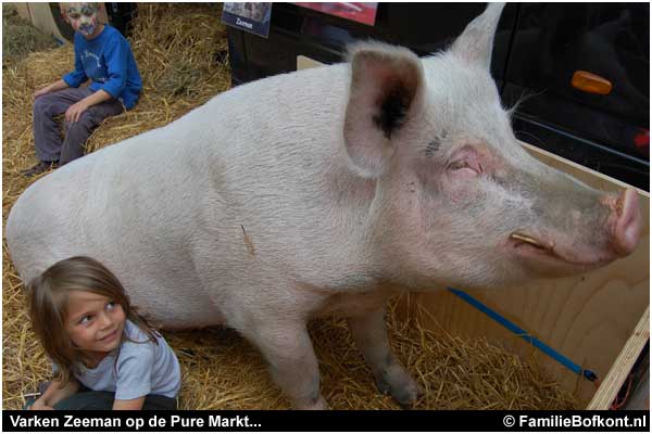 varken ZEEMAN op de Pure Markt Amsterdam - Week van de Smaak 2009