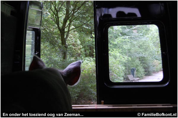 varken ZEEMAN op de Pure Markt Amsterdam - Week van de Smaak 2009