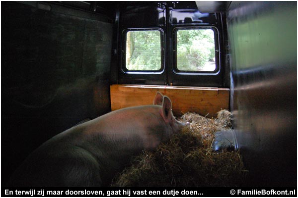 varken ZEEMAN op de Pure Markt Amsterdam - Week van de Smaak 2009